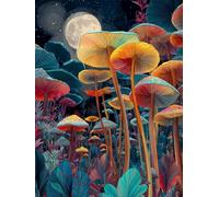 Dipingere con i Numeri Adulti Kit Fai-da-Te Acrilico Fungo stellare Pennelli Pittura su Tela 30x40cm Senza Cornice Facile per Bambini Principianti Decorazione Murale Ufficio Casa Regalo Creativo G-935