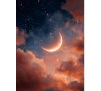 Dipingere con i Numeri Adulti Kit Fai-da-Te Acrilico Luna stelle Pennelli Pittura su Tela 70x90cm Senza Cornice Facile per Bambini Principianti Decorazione Murale Ufficio Casa Regalo Creativo G-986