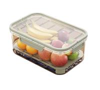 DIPO Outdoor Ice Preservation Box, Portable Snack Tray with Handle, Portable Double Layer Fruit Storage Holder for Camping, Picnic (Green)