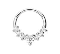 DIPZO Joyería de Piercing Septum 16G, Aro Septum de Acero Inoxidable 8mm, Aro Clicker Daith para Hélix y Cartílago, Mujeres Hombres, Plata