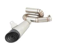 DIQXLGS Silenciador De Fibra De Carbono Modificado Con Doble Catalizador Para Triumph Para Street Triple 765 S R RS 2017 2018 2019 2020 2021 2022(Estilo B)