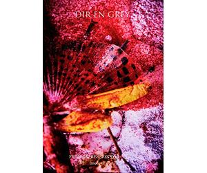 Dir En Grey - From Depression To________ [Mode Of 16-17] [Edizione: Giappone] [Italia] [DVD]