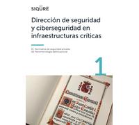 Dirección de seguridad y ciberseguridad en infraestructuras críticas - Vol. 1: Vol. 1
