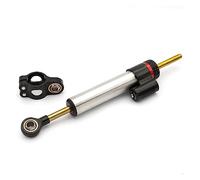 Dirección Estabilizador para XJR1300 para XJR 1300 1998-2013 2014 2015 2002 Amortiguadores Lineales Estabilizadores Soporte Montaje Conjunto Soporte Amortiguador Dirección(Silver Damper A)