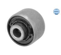 Dirección - Suspensión - Tren > Suspensión de Ejes > Casquillo cojinete, brazo oscilante