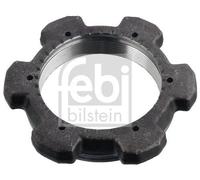 Dirección - Suspensión - Tren > Suspensión de Ejes > Kit tuerca mangueta