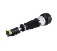 Dirección - Suspensión - Tren > Suspensión neumática > Amortiguador neumático