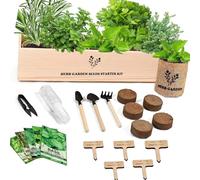 Direct Current Grow Indoor Miniaturized Set Finish Set Includes Mint Basil Seasoning Rosmarinus Grains Bowls Tools Manual for Novices Fun Ease Bushes