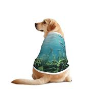 Direct Sunlight on The Seabed - Camisa para perros grandes y medianos, camiseta de malla transpirable para mascotas, perfecta para el uso diario y ocasiones especiales