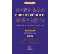 Direito Público - Análises E Confluências Teóricas (ebook)