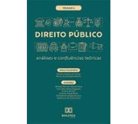 Direito Público - Análises E Confluências Teóricas (ebook)