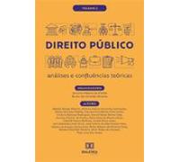 Direito Público (ebook)