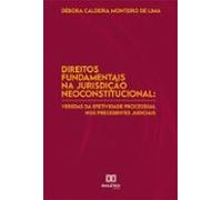 Direitos Fundamentais Na Jurisdição Neoconstitucional (ebook)
