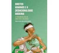 Direitos Humanos E A (ir)racionalidade Moderna (ebook)