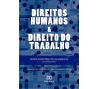 Direitos Humanos E Direito Do Trabalho (ebook)