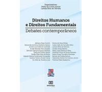 Direitos Humanos E Direitos Fundamentais (ebook)