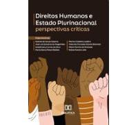 Direitos Humanos E Estado Plurinacional (ebook)