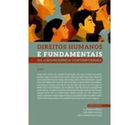 Direitos Humanos E Fundamentais Na Jurisprudência Contemporânea (ebook