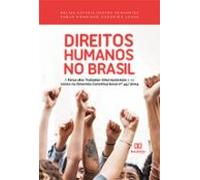 Direitos Humanos No Brasil (ebook)