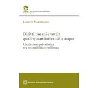 Diritti umani e tutela quali-quantitativa delle acque (Ambiente e mercato. Temi)
