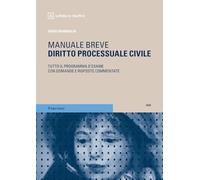 Diritto processuale civile (Percorsi. Manuali brevi)