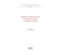 Diritto processuale costituzionale e diritti umani (Seminario giuridico della Università di Bologna)