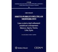 Diritto pubblico dell'Islam mediterraneo. Linea evolutive degli ordinamenti nordafricani contemporanei: Marocco, Algeria, Tunisia, Libia, Egitto (Centro italiano Sviluppo della Ricerca)