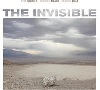 Dirk Serries/Rodrigo Amado/Andrew Lisle The Invisible (CD) (Importación USA)