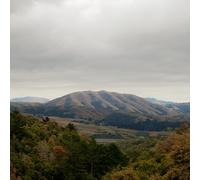 DIRTY PROJECTORS + BJORK - MOUNT WITTENBURG ORCA(ltd.)