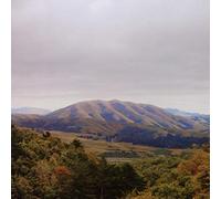 Dirty Projectors - Mount wittenberg orca (& Bjork)