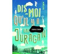 Dis-moi Quil Y A Un Ouragan (ebook)