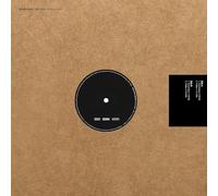 Disappearer [Vinilo]