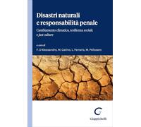 Disastri naturali e responsabilità penale. Cambiamento climatico, resilienza sociale e «just culture»
