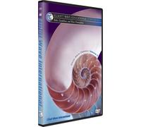 Disc 5. Rules, Guidelines and Wave Personalities