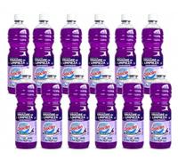 Disclin Limpiador Multiusos con Vinagre y Detergente Lavanda 1 L | Pack de 12 Unidades | RASMACOR