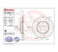 Disco de freno BREMBO XTRA LINE BREMBO 09.8665.1X, 1 Pieza