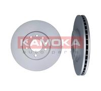 Disco de freno delantero KAMOKA 1031620