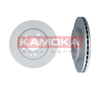 Disco de freno delantero KAMOKA 1032070