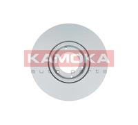 Disco de freno delantero KAMOKA 1032134
