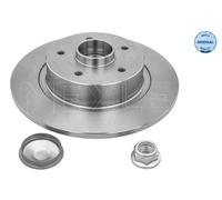 MEYLE Discos de freno para RENAULT: Mégane, Scénic (Ref: 16-15 523 4111)