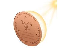 Disco de limpieza de cobre para todo el año, limpiador de agua de seguridad para exteriores, para baños de pájaros, para bebederos de pájaros en el jardín, patio, terraza, césped, y exterior