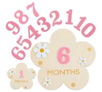 Disco de marcadores de hitos mensuales 3D para bebés, círculos de madera para fotos de bebé, letrero de anuncio de bebés, letreros de meses de bebés, tarjetas de hitos de 1 a 12 meses