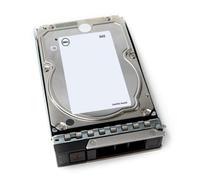 Disco Duro Dell 161-BCFT 4TB HDD 7200rpm SAS 12Gb/s Kit Cableado
