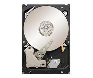 Disco duro interno Seagate Constellation ES SATA 3 Gb/s 1 TB (ST31000524NS)