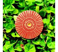 Disco Polarizador Tesla MWO, Bobina Tesla Osciladora Multionda, Diámetro Del Disco 32mm, Disponible Desde 174 Hz a 963 Hz, Energización Del Agua Y Equilibrio Armónico, Para Salas De Yoga Y Meditación