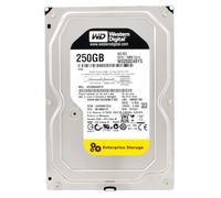 Western Digital RE3 Empresa 250GB Interno 7200RPM 8.9cm (WD2502ABYS) HDD