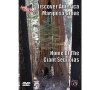 Discover America - Discover America-Mariposa Grove [Italia] [DVD]