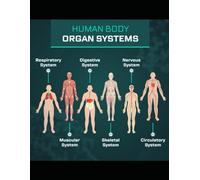 Discover the Wonders of the Human Body with Our Engaging Crossword Puzzle Book!