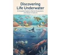 Discovering Life Underwater: A Complete Guide to Marine Ecosystems and Ocean Creatures