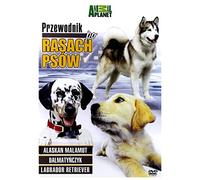 Discovery - Breed All About It [DVD] (IMPORT) (No hay versión española)